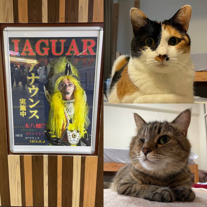 8a0a6ffc 6890 4e73 8c1e e09237e67396 1633431888921