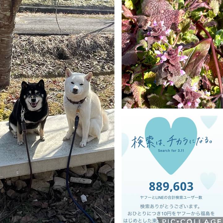 8a0a7e53 1403 4718 a13a a60d68c27bbe 1646981925616