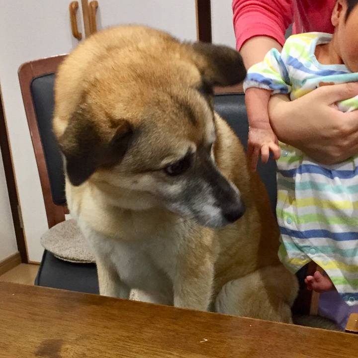 8a0a94b4 d806 4666 8c3d a41338ba29a0 1528259696723