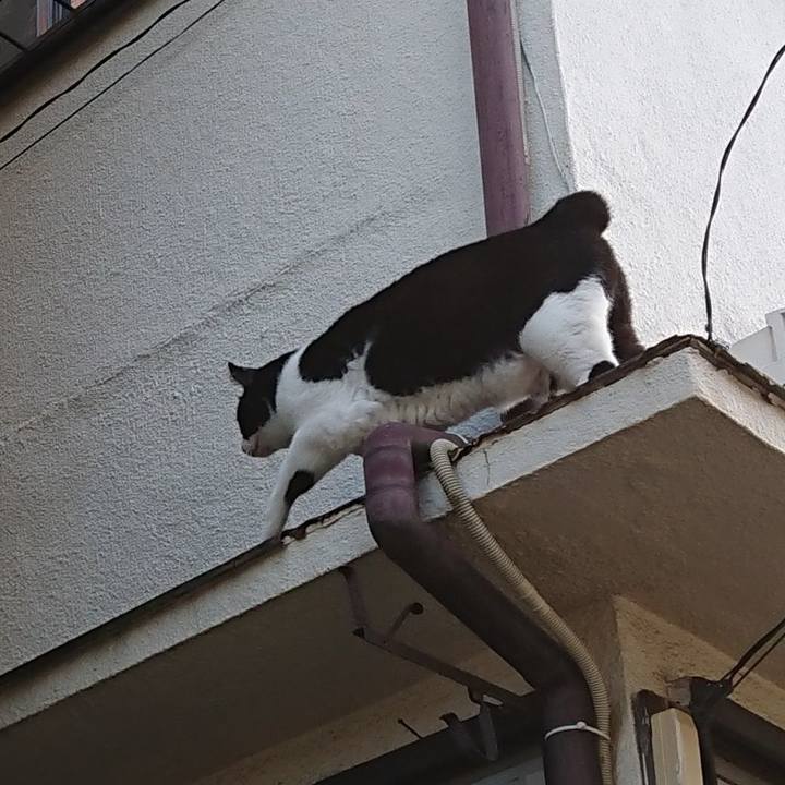 8a0aad68 0836 45aa b38e 67d3268225c1 1629513908947