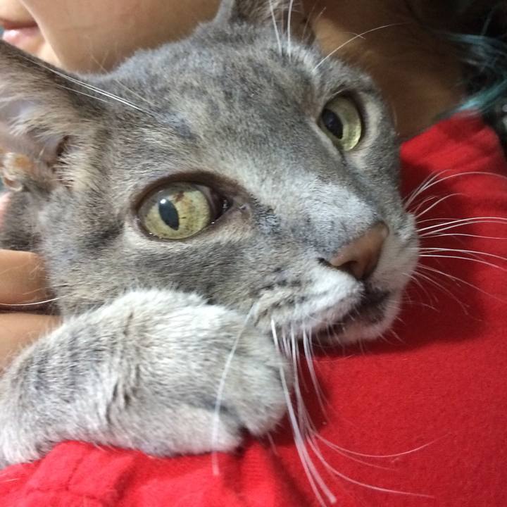 8a0b0be8 2f32 45be a23f a7d72c0ed67b 1526150350707