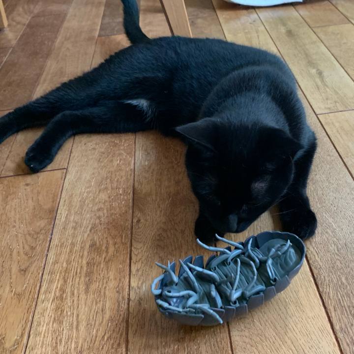 8a0b39bd 67d2 4f48 ae7e e72d541106f8 1562394889398