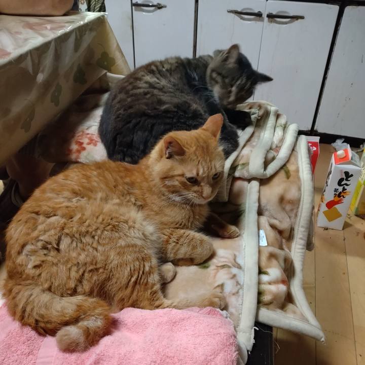 8a0ba095 bcb8 47c8 b85c df5941c7381c 1754654836874