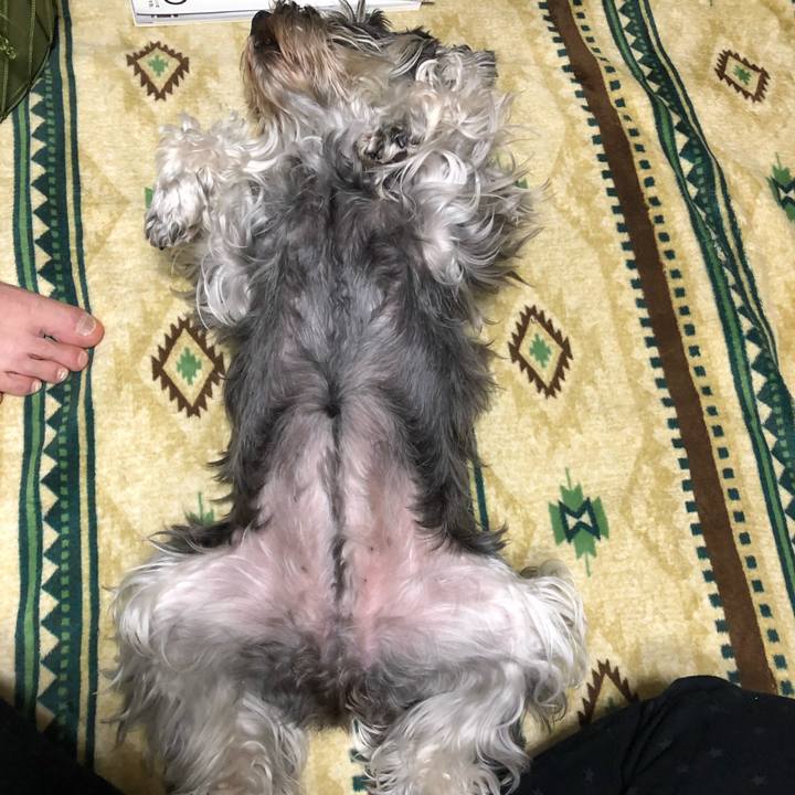 8a0ba226 a02b 4820 b658 40b2eccedcc4 1623073878387