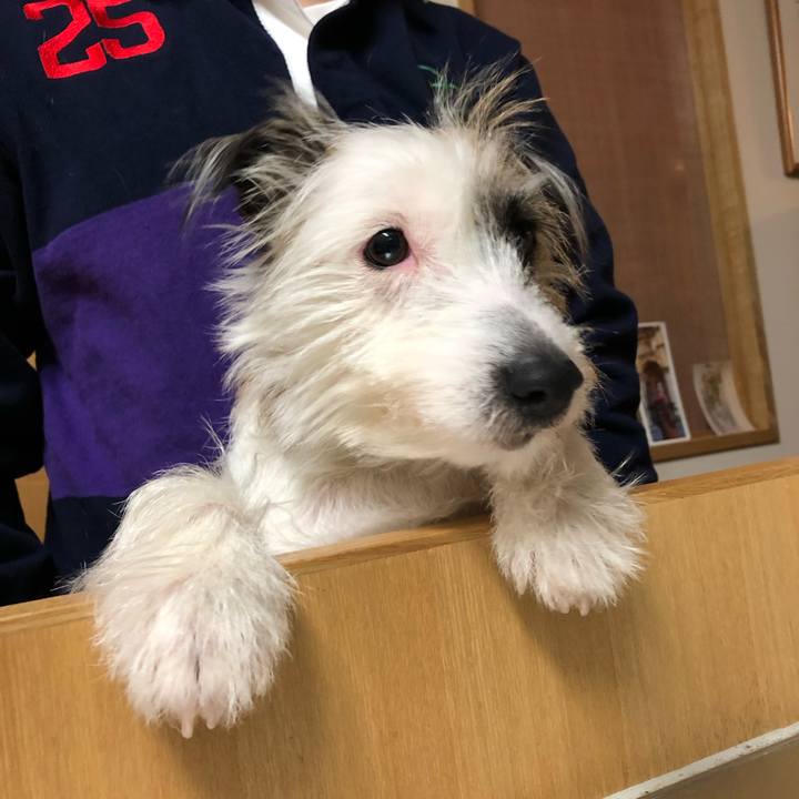 8a0bc42a 7a29 47c2 9626 958a65c786ae 1547460896048