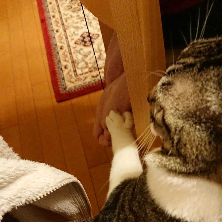 8a0bd269 0e9e 4b2c 919f 5978822ed2f2 1545053371560