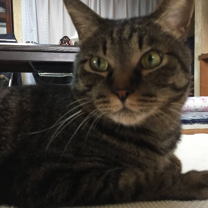 8a0bfcc6 9840 4c9e 9ac9 6d0aa1948b37 1549281621146