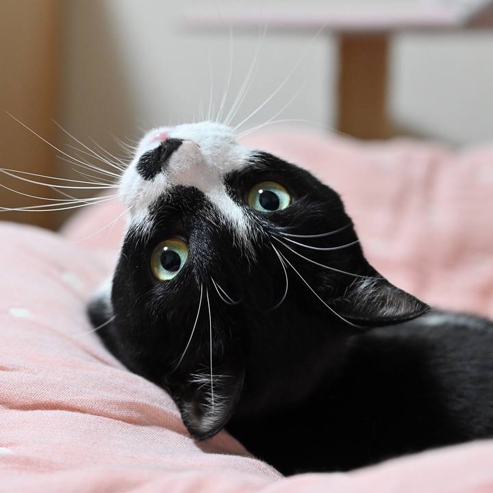 8a0c03db 2b0b 436d 82ff cfa9ccdd602f 1557332106048