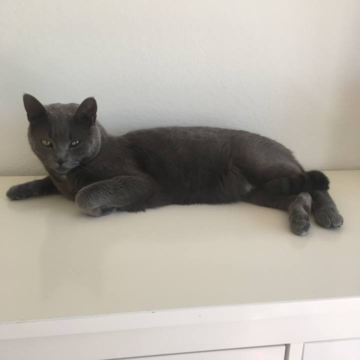 8a0c1e69 35f1 4379 a5e7 43352f0c0510 1650835652991