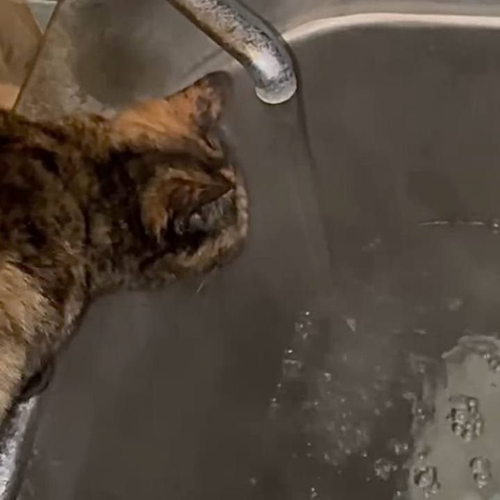 8a0c5b4e 686e 4ca0 acc7 2c271b2e1b76 1770841646673