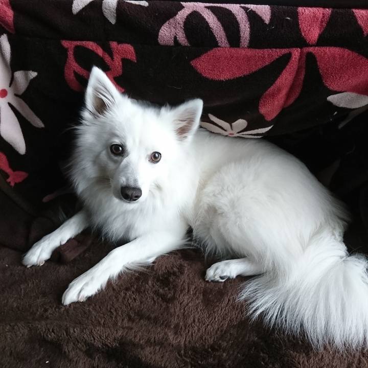 8a0c79a7 bc2a 4b9c 9bb6 e6c605a2b1cc 1544764236500