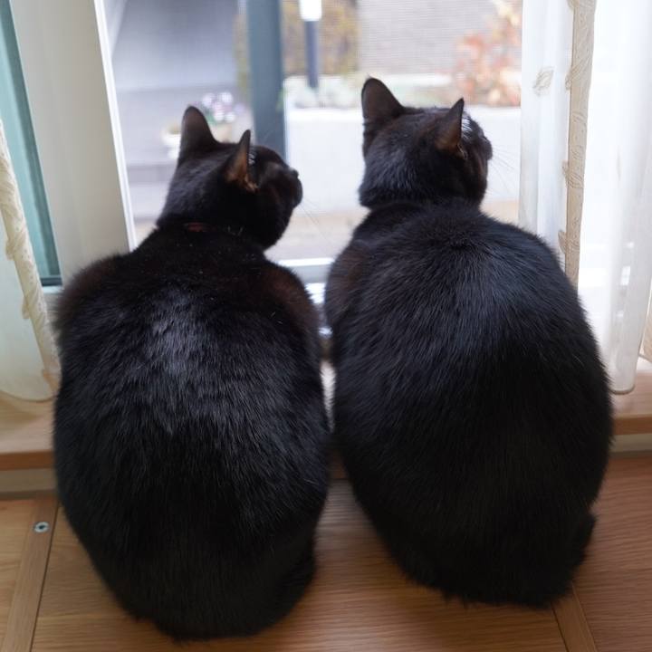 8a0cbf67 6e99 42ba 9458 396692d71190 1608821513716