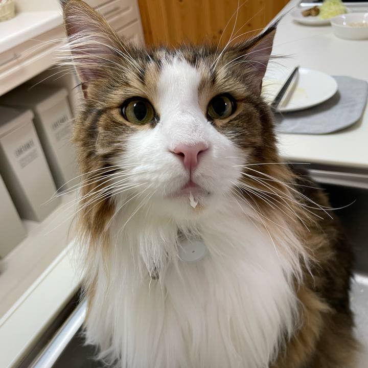 8a0cce09 a0b8 4936 a9d1 3a20db3dda0b 1677704800546