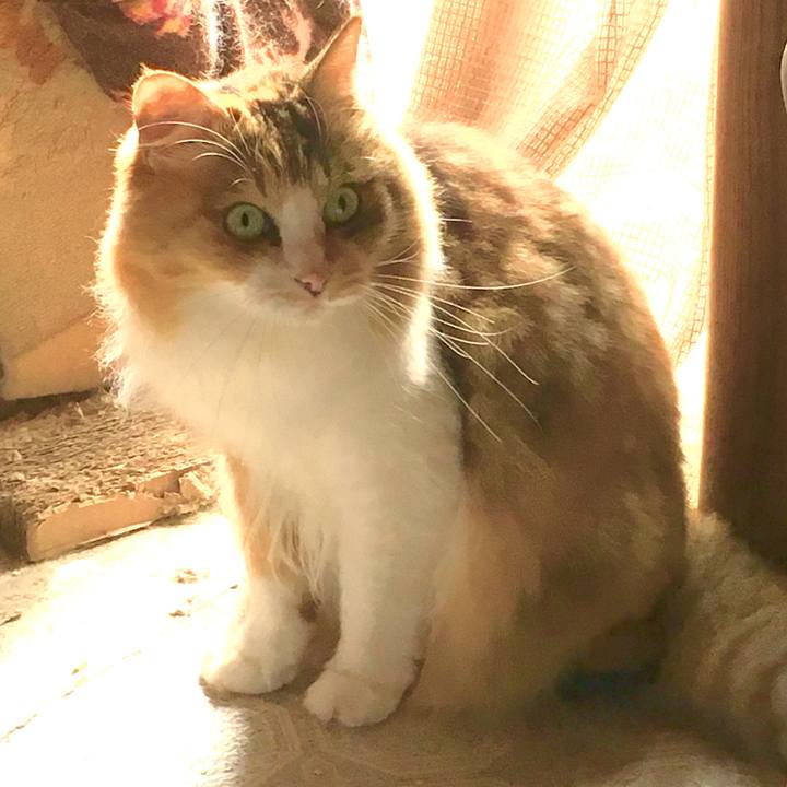 8a0ce0b3 cc40 4b1c a64d ac886747e359 1567672789641