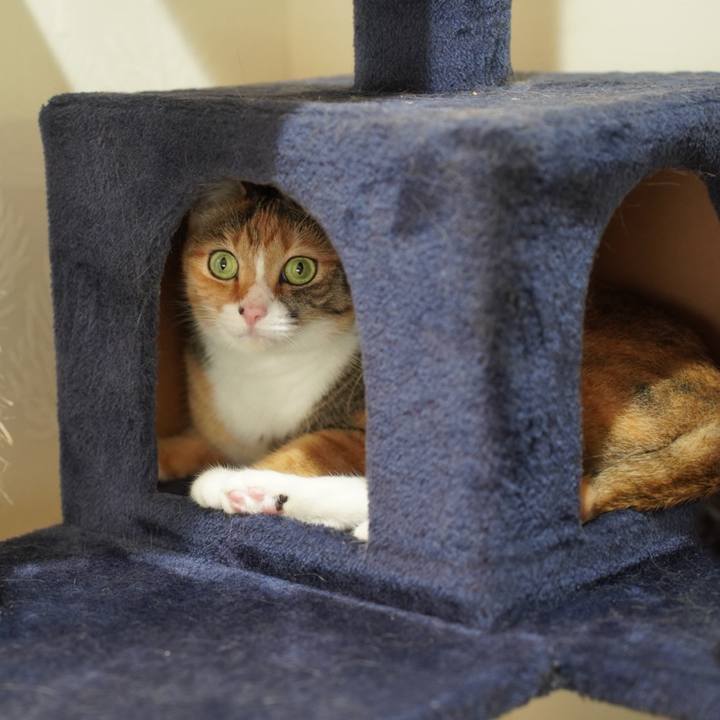 8a0ce317 5b88 48b1 b3bd c835c44ce491 1730679722138