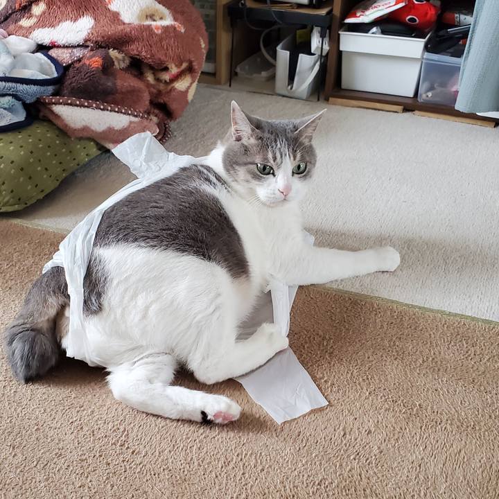 8a0d04c8 7cb0 4da9 a69f 3691dd3b926d 1745245672088