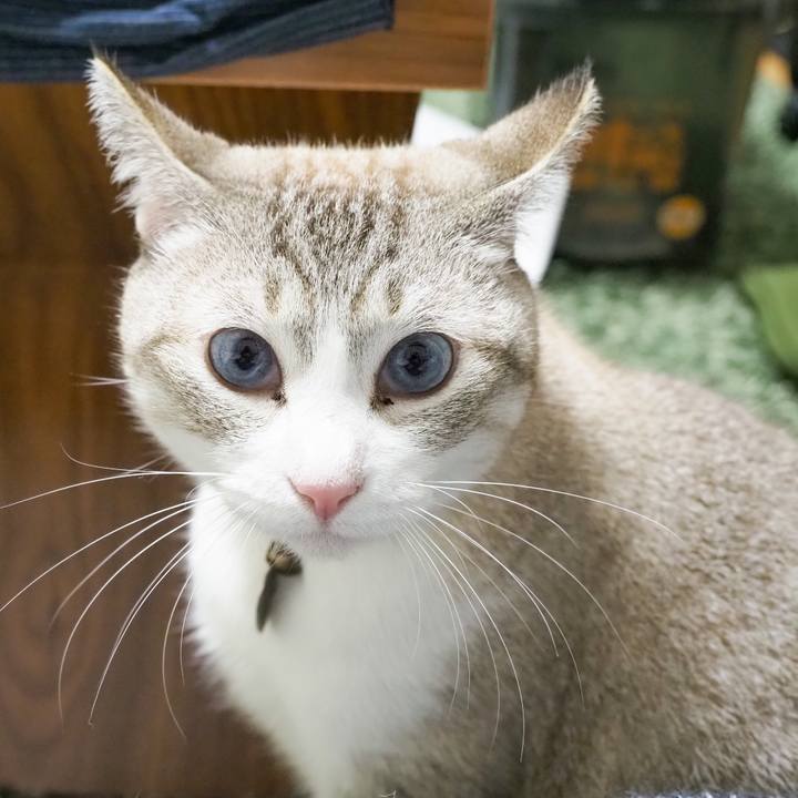 8a0d0720 e925 421c 9d3e 63f4ddd85b85 1606099659271