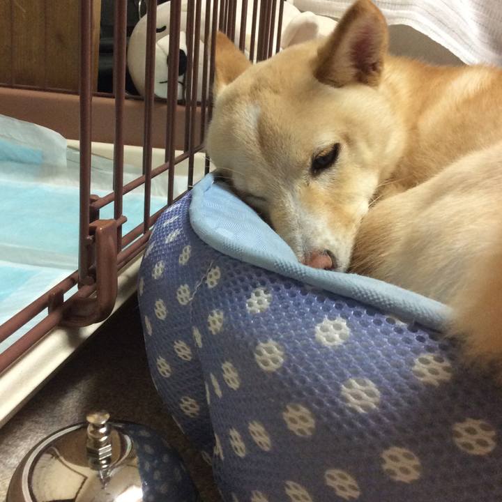 8a0d3a18 0204 4fec a2bb 7ca326603b00 1508066221622