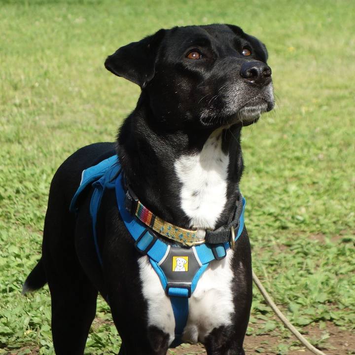 8a0d4fef c352 4ae3 8881 582ec7cab179 1620090976331