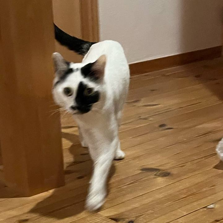 8a0d889a a00d 4bdc 86e0 42cabfa80663 1770908554930