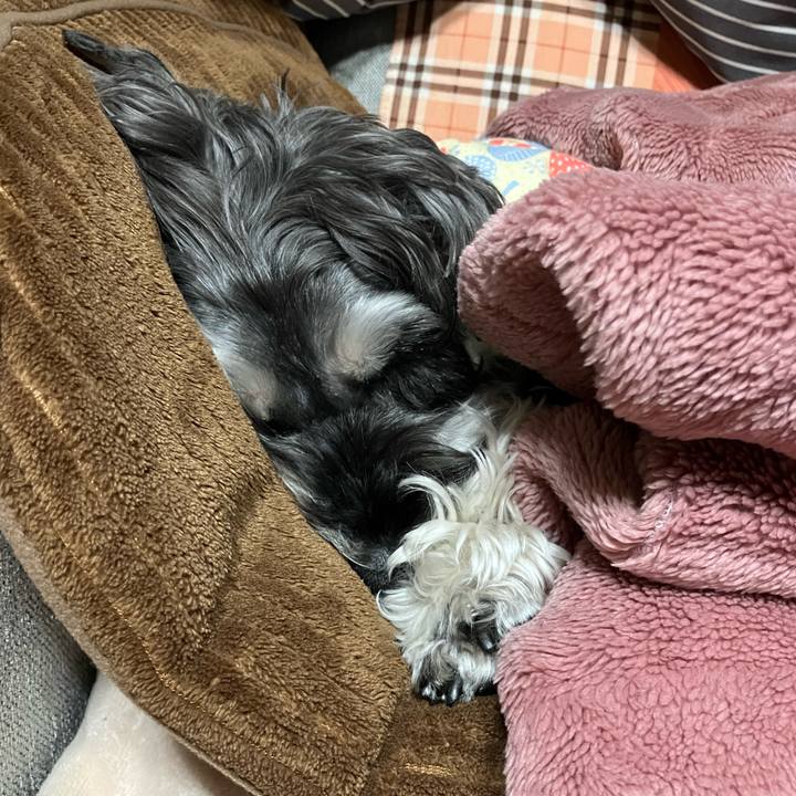 8a0dcc4f afea 475d 984c 770d05502bac 1742134287686