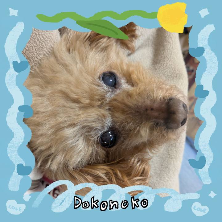 8a0e03c9 88cc 4ec0 acdf 04c98ef0e0a1 1772454512222