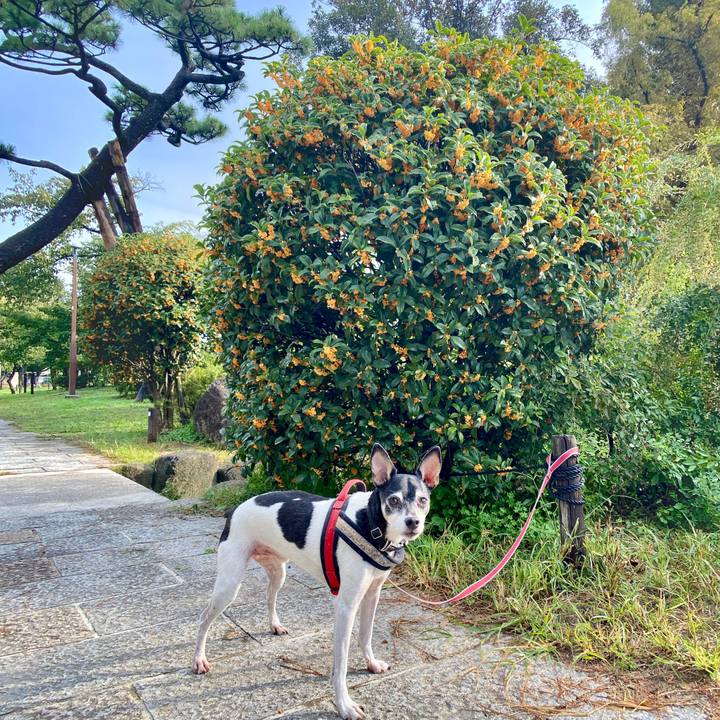 8a0e1531 dd30 4f17 9bb1 73fe37a4f186 1602993214288