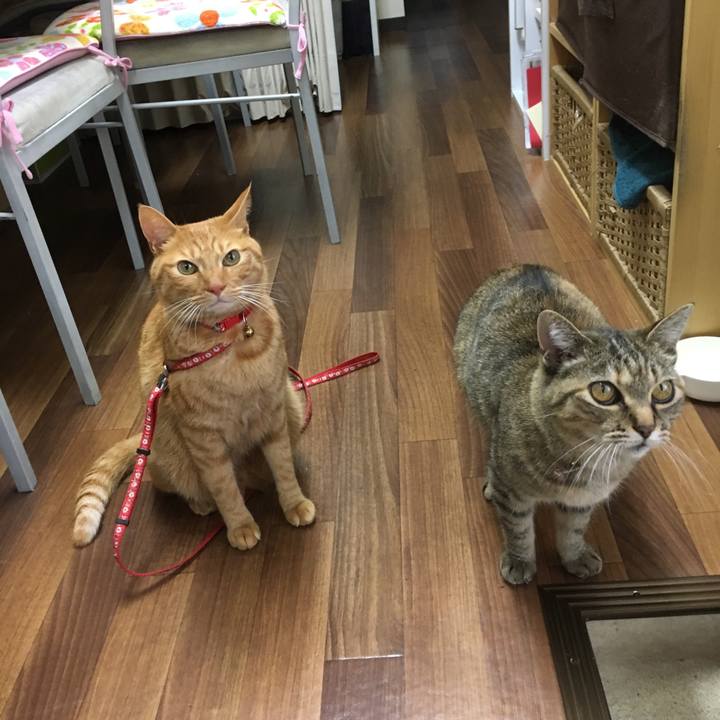 8a0ea9c1 018d 4c16 995b d1c761bf80b2 1541059337967