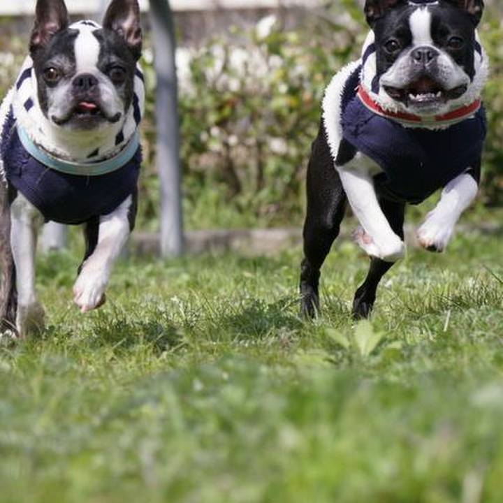 8a0eb8d3 8c2f 4c1c bc0f deadcc90d0d5 1554017154464