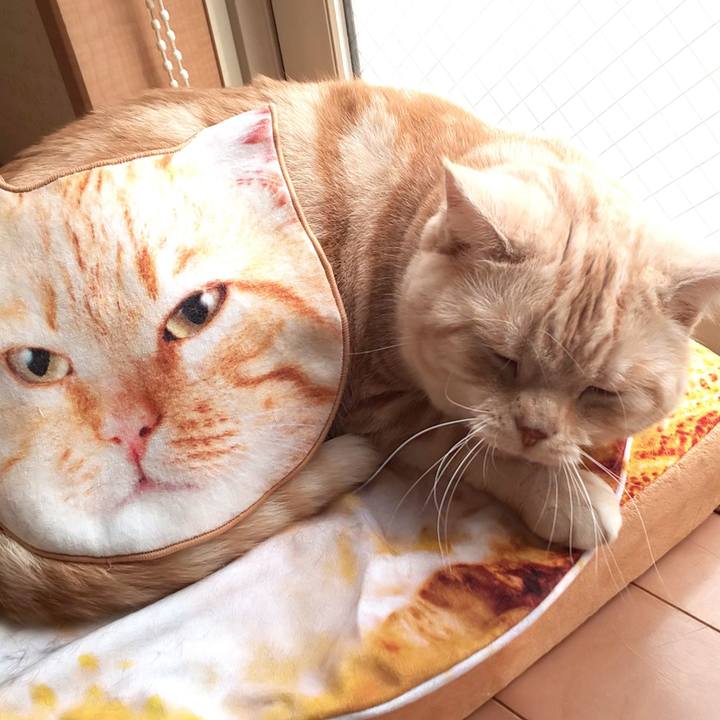 8a0ec586 42d5 4da0 8961 01a3c7809dec 1552990104885