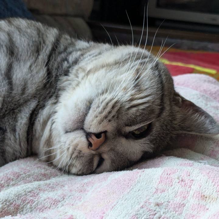 8a0ed789 c1fe 47be ab24 687f59eda310 1733897118346