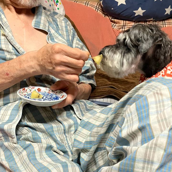 8a0efaa9 bcc2 4696 990a b656c1877962 1720528356805