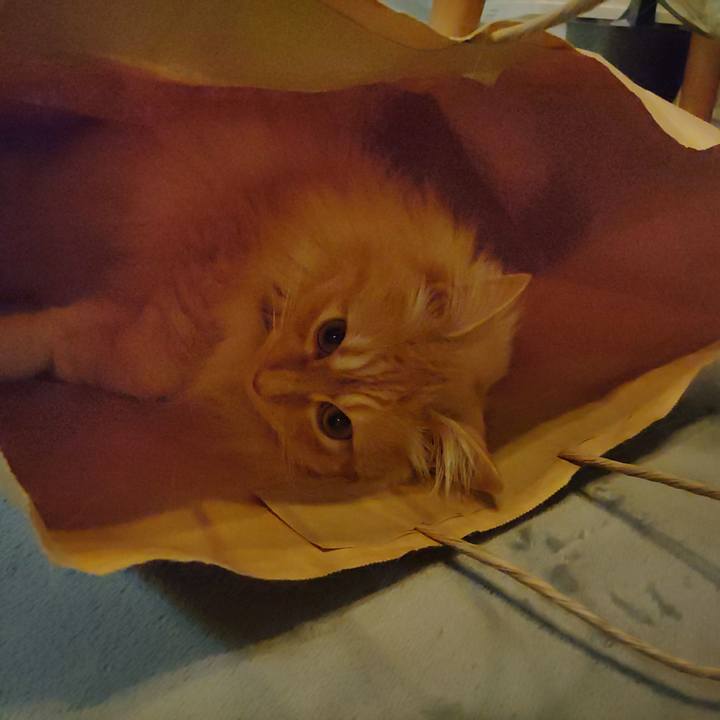 8a0f43ad 7646 44ea bf0a 3e27ebcb20bb 1653305193288