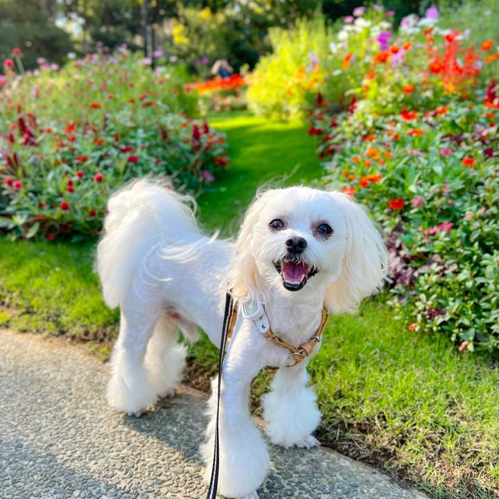 8a0f63c9 e186 4d0c b89a a2688cffe829 1664089810743