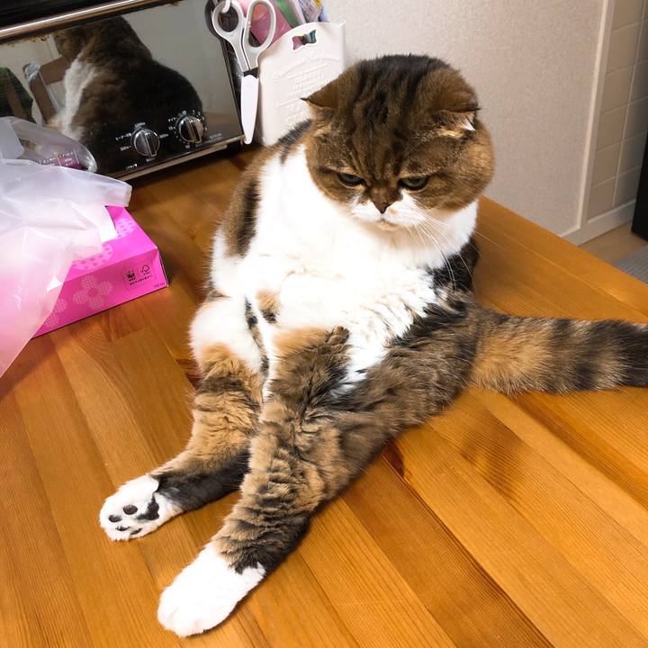 8a0f74de 9aec 4b12 95a4 7715b70ed720 1551859253386