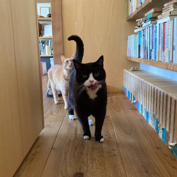 8a0fba1c 05fc 42cf a982 1570c65dd7d0 1617840450700