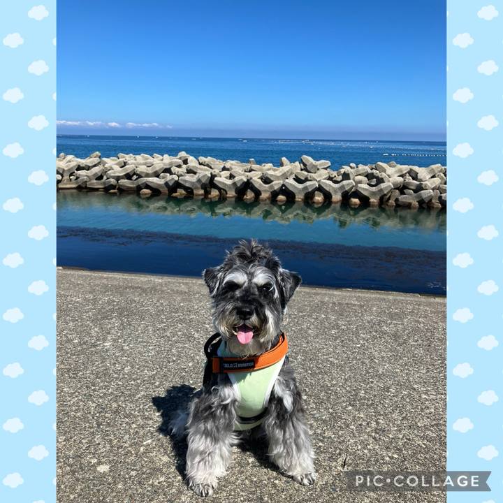 8a10081e bd75 43f0 a184 7074564eba76 1719634139125