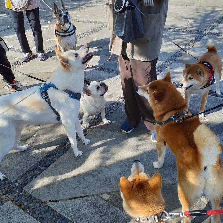 8a101864 3aed 4161 9477 dc534856add5 1649550199797