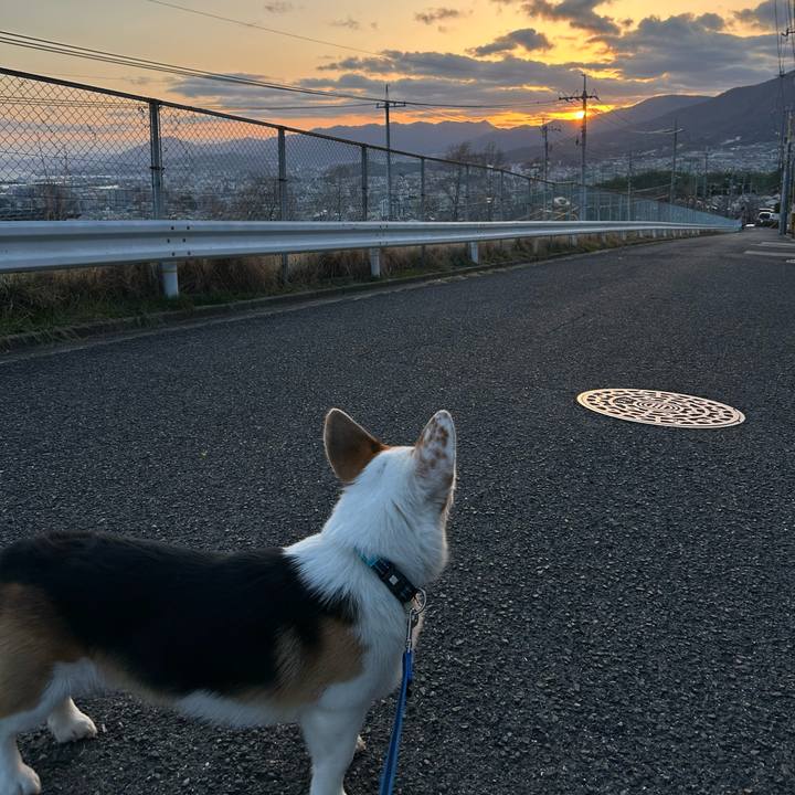 8a101f59 5f52 4d94 b3b0 5170834f90a9 1772271753682