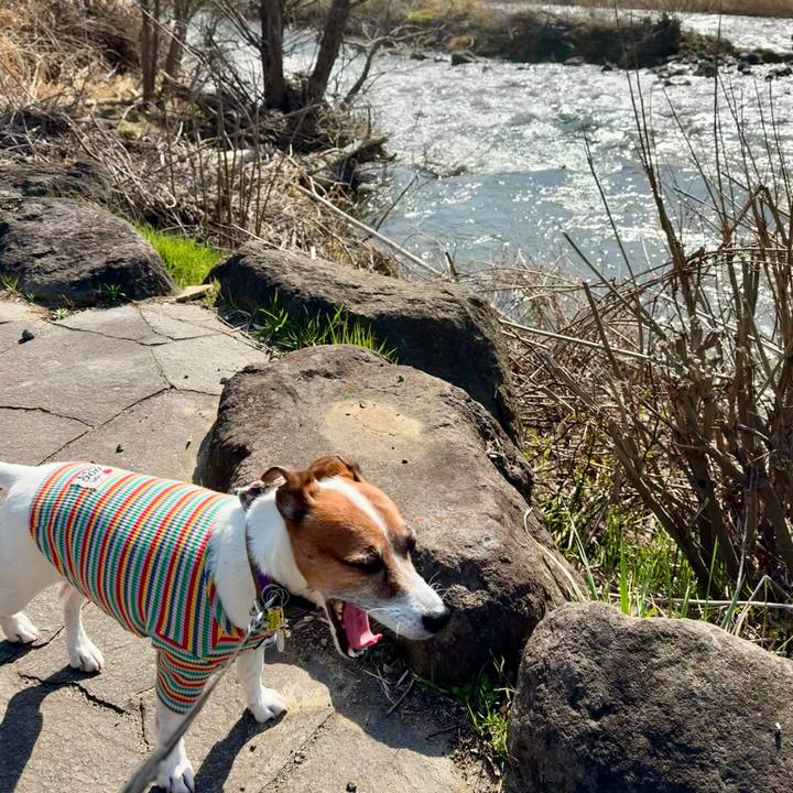 8a102af4 0368 4ae3 a309 8aa57137ce6e 1774604483461