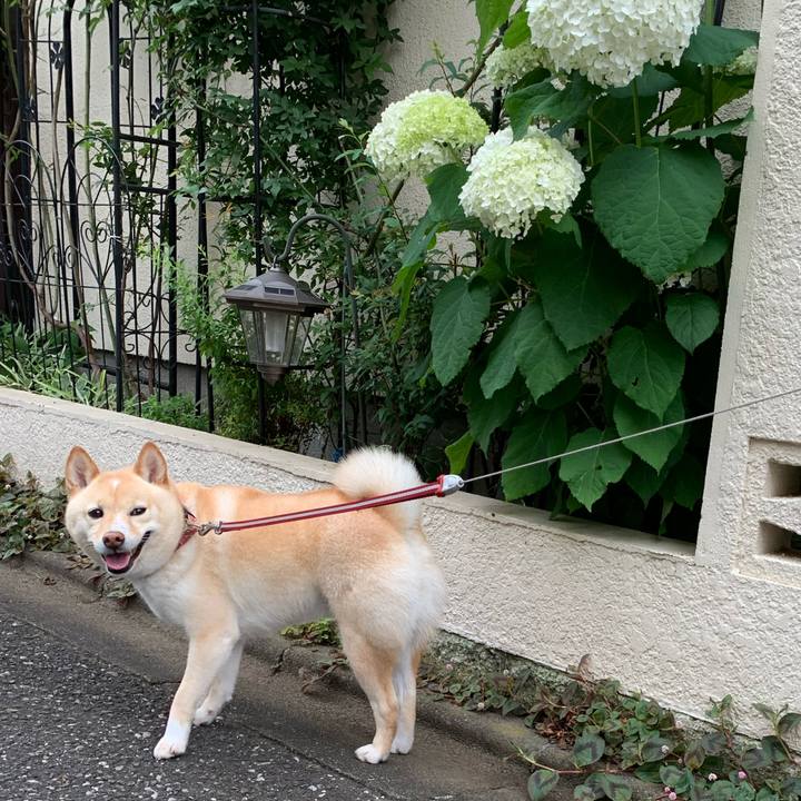 8a103f6f 1855 42f7 8c16 cc3f1c9fcc09 1622932015164