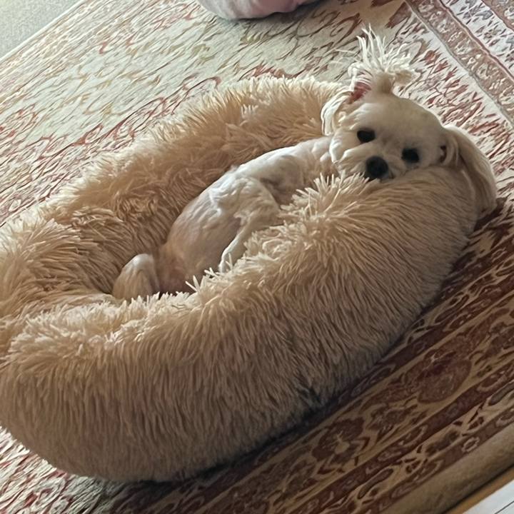 8a106d40 7fc6 4b19 9dbe b97fa8e986e2 1664155877215