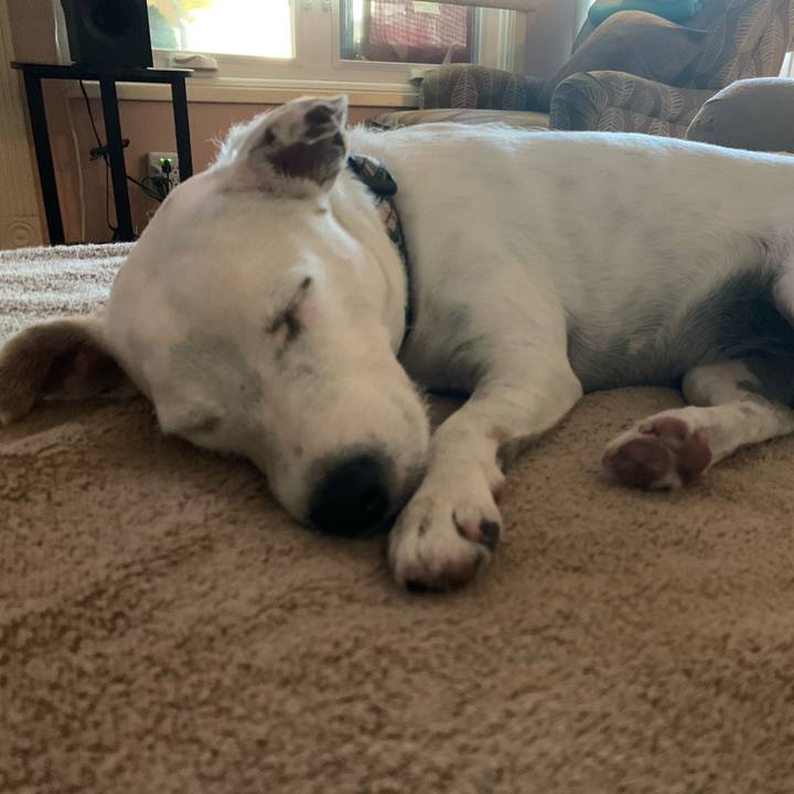 8a1095c1 a81c 470b 9d41 4592c1c34c51 1595772839028