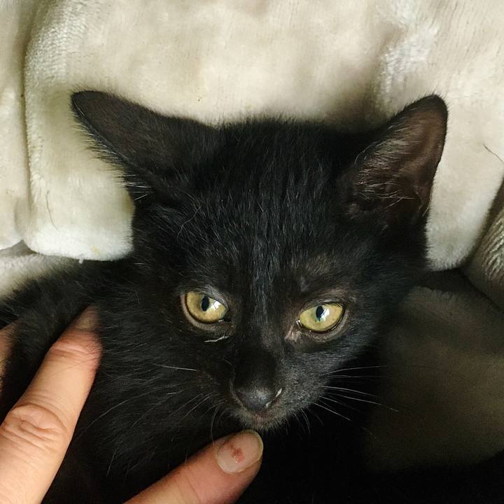 8a109a64 d3c2 4aca ae83 9874b21793c7 1625904562214