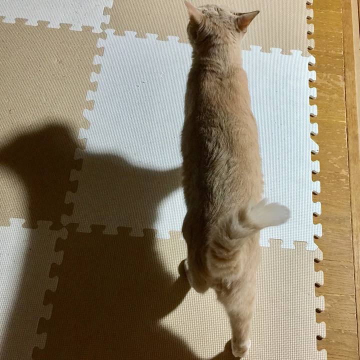 8a10da60 ff1b 400c 9070 f592e6ed2524 1534946827505