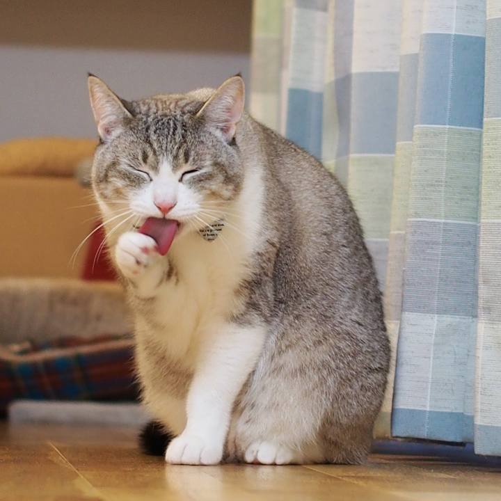 8a10e66a 0e96 4685 a2c4 2c570af9ae14 1590057550822