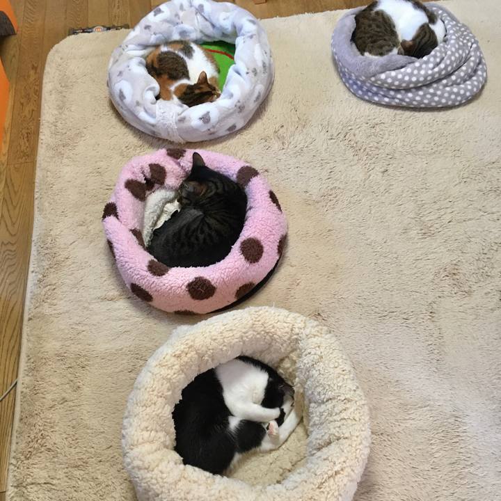 8a10fed6 a3d7 47aa 8520 94d159898b49 1580454244082