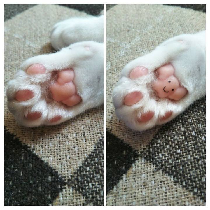 8a110f5d b9a1 4edb 9f4c 600576c6ab59 1575946850808