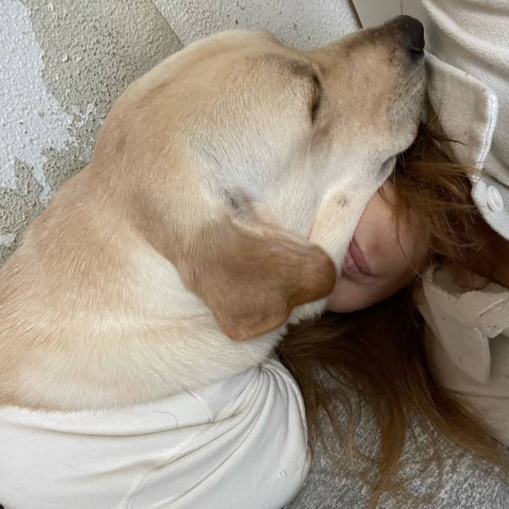 8a1121e3 55df 4e1b a10d 110767445014 1639058570414