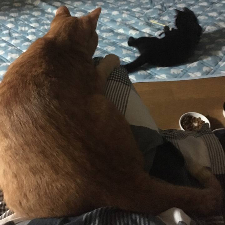 8a1123df 7c28 4c99 ba1f ca0292293b3e 1534336256001